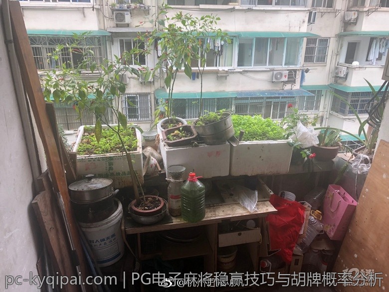 PG电子麻将稳赢技巧与胡牌概率分析