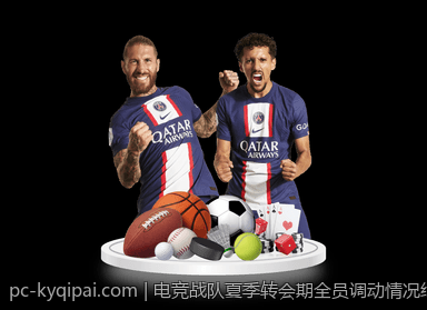 电竞战队夏季转会期全员调动情况综述