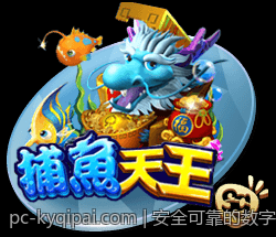 安全可靠的数字彩票追号计划软件免费版介绍